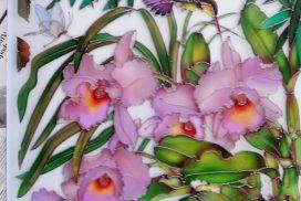 Vitrazh Orhidei